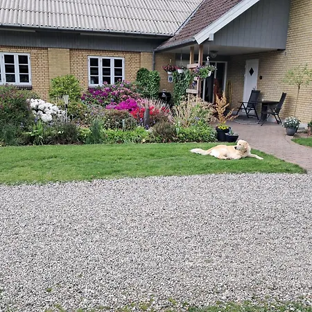 Apartman Naturskont Naer Vikingecenter, Se Og Oplev Den Gamle By *