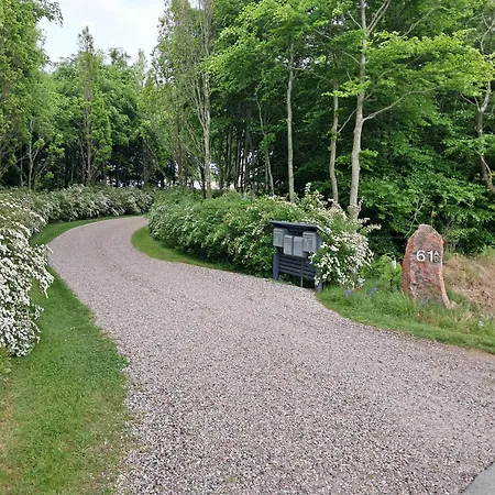 Lejlighed Naturskønt Nær Vikingecenter, Se Og Oplev Den Gamle By *